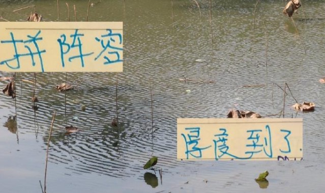 拼阵容血厚时候到了!申花 北京国安 都有外援国脚打世预赛 我